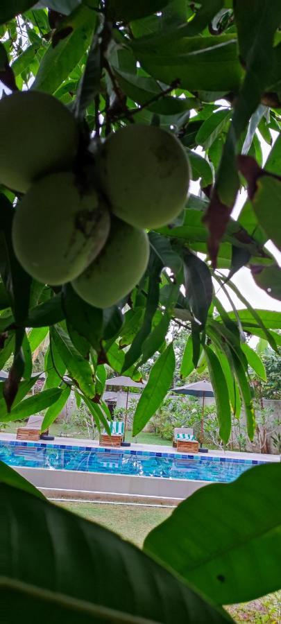 Mango Tree Villa Bentota Exterior foto